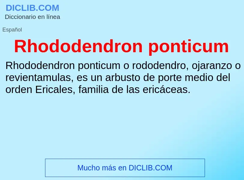 ¿Qué es Rhododendron ponticum? - significado y definición