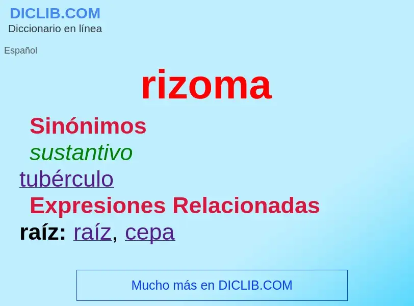 ¿Qué es rizoma? - significado y definición