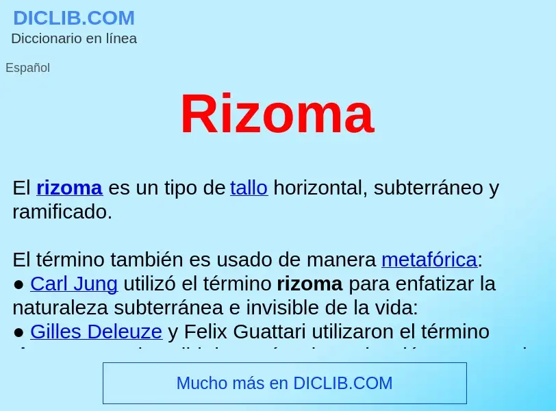 Che cos'è Rizoma  - definizione