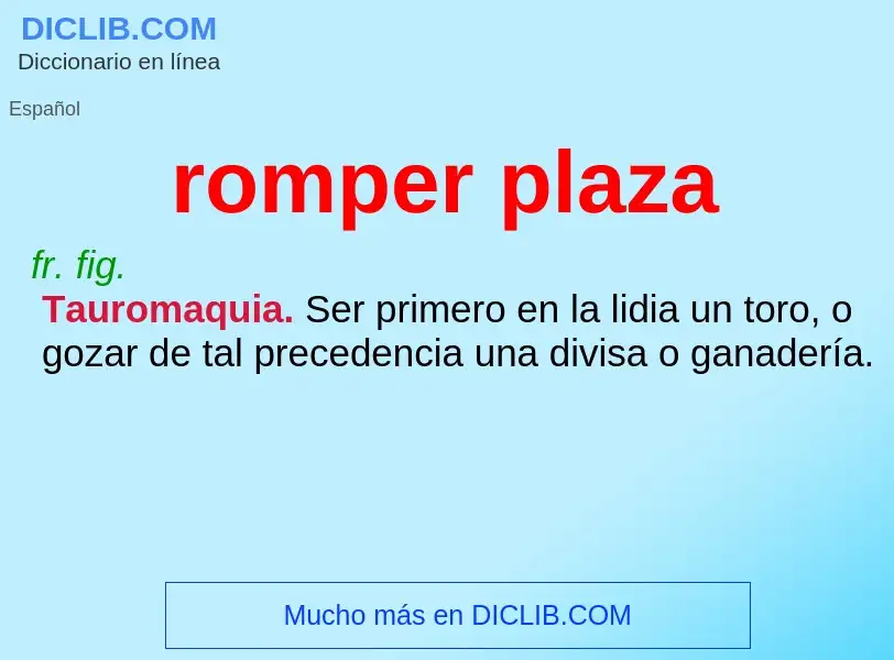 Wat is romper plaza - definition