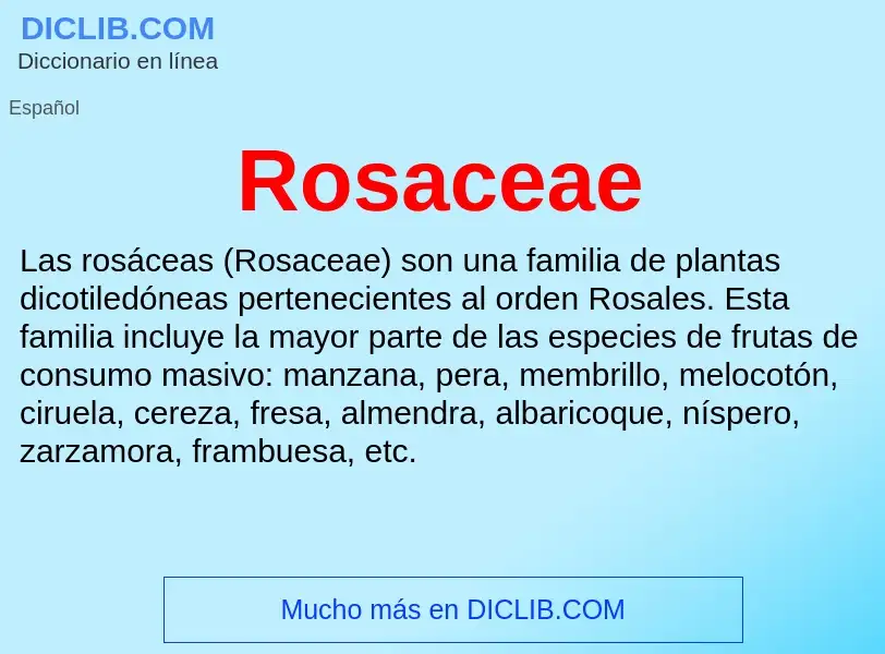 Was ist Rosaceae - Definition