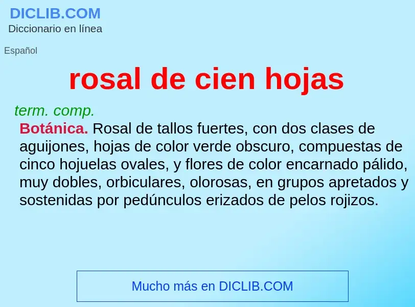 Wat is rosal de cien hojas - definition