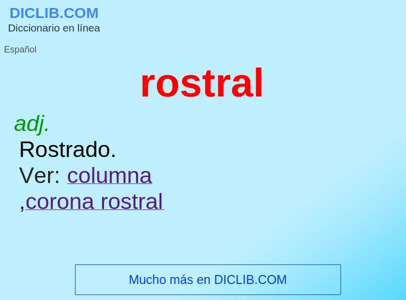 Wat is rostral - definition