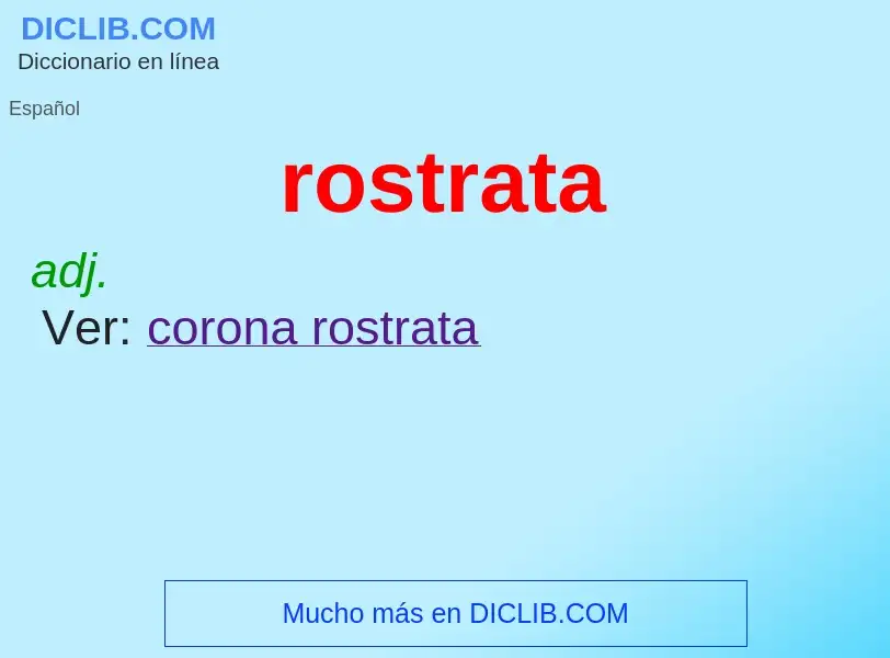 Wat is rostrata - definition