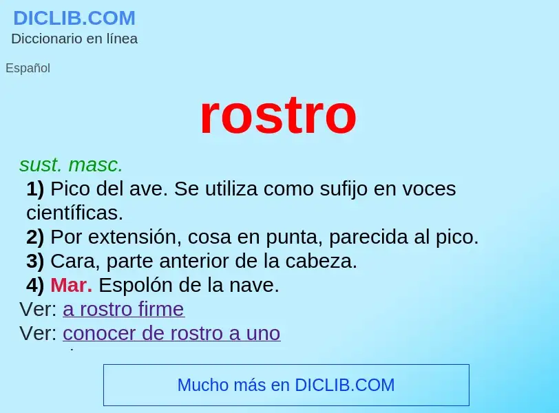 What is rostro - definition