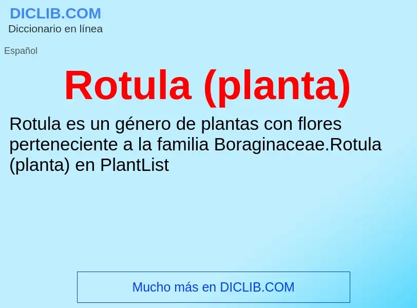 Che cos'è Rotula (planta) - definizione