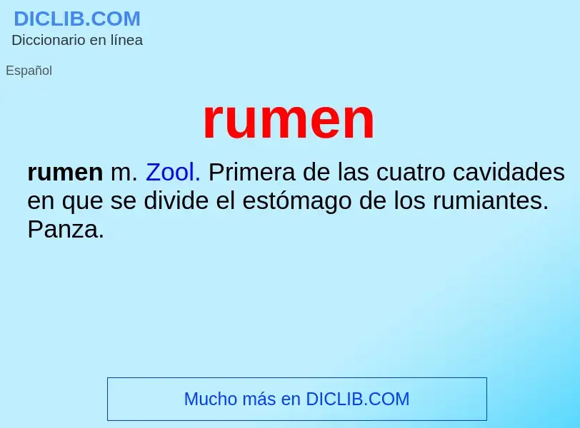 Che cos'è rumen - definizione