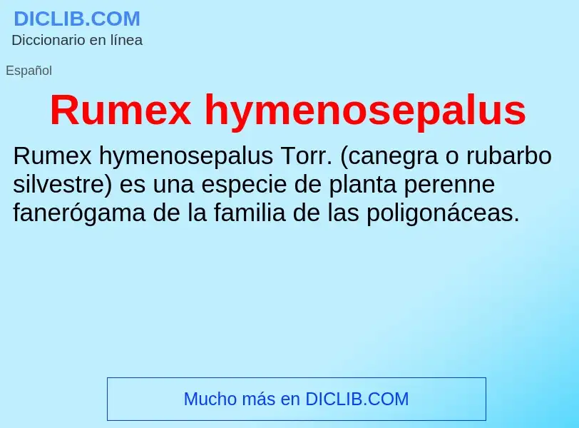 Che cos'è Rumex hymenosepalus - definizione