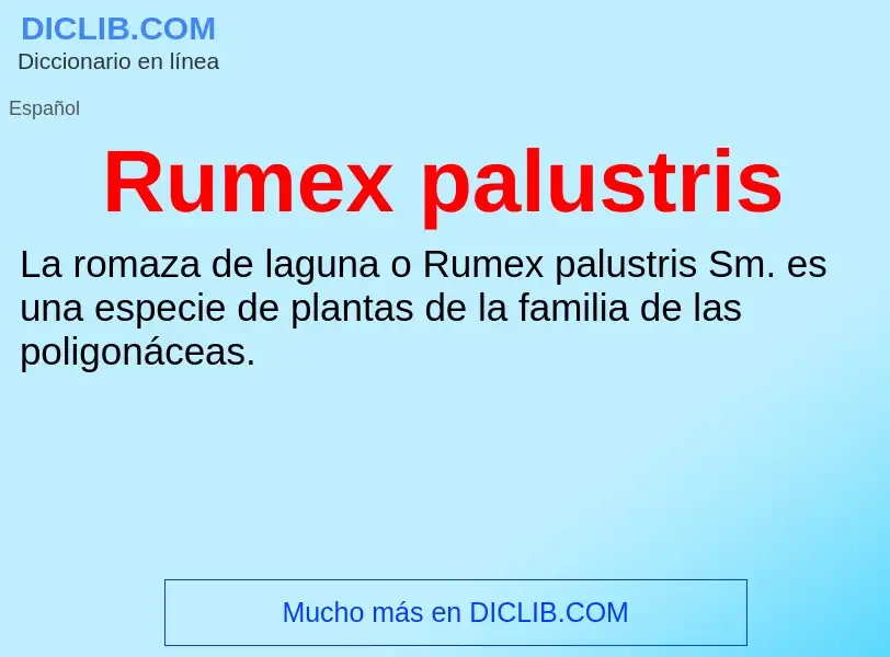 ¿Qué es Rumex palustris? - significado y definición