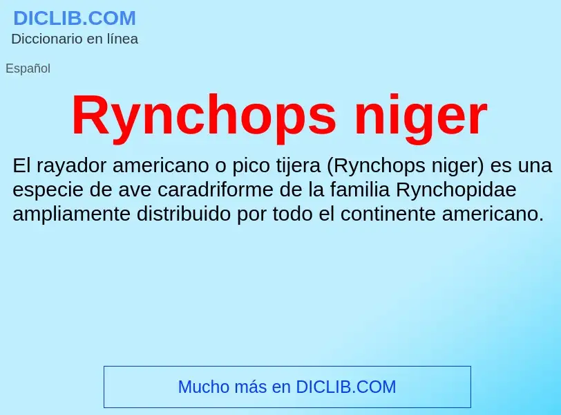 Что такое Rynchops niger - определение