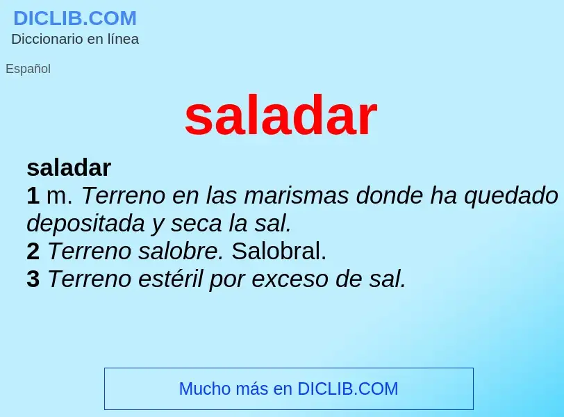 What is saladar - meaning and definition