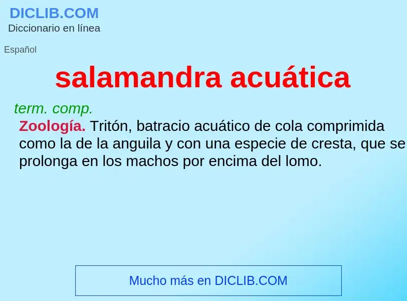 O que é salamandra acuática - definição, significado, conceito