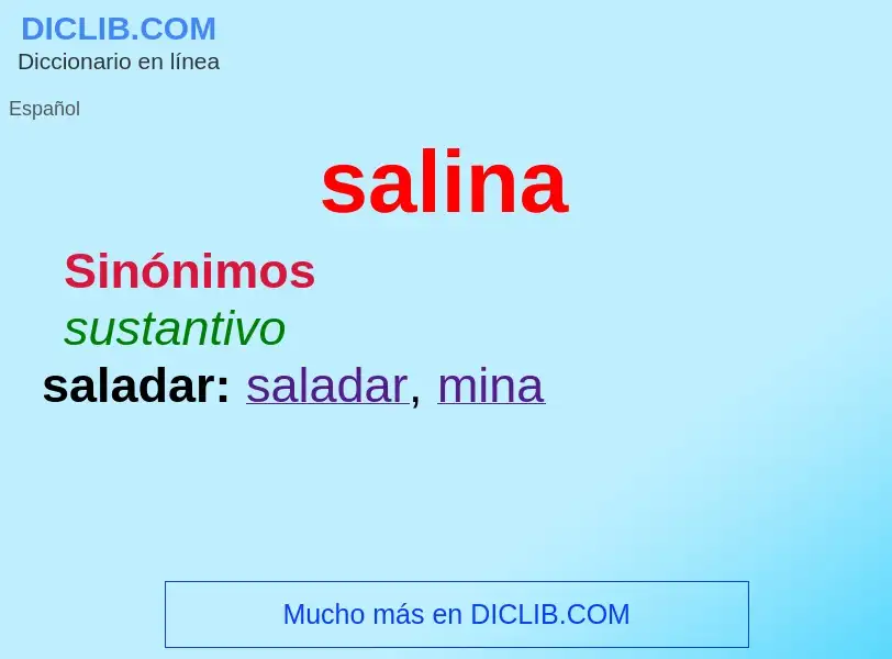 What is salina - definition