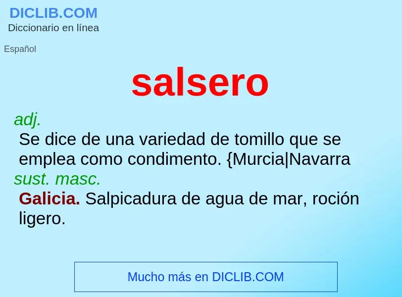 What is salsero - definition