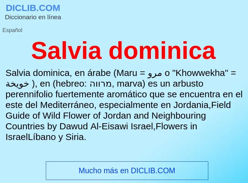 What is Salvia dominica - meaning and definition