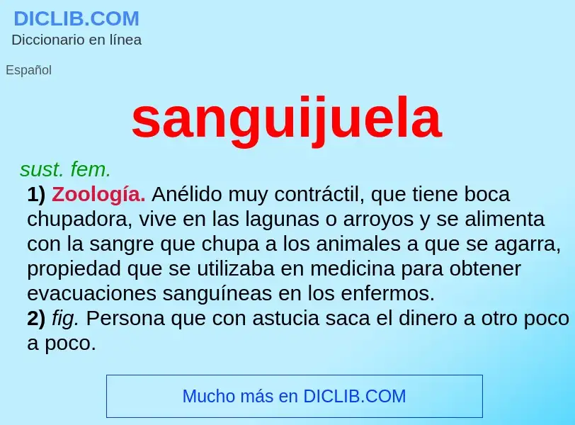 What is sanguijuela - definition