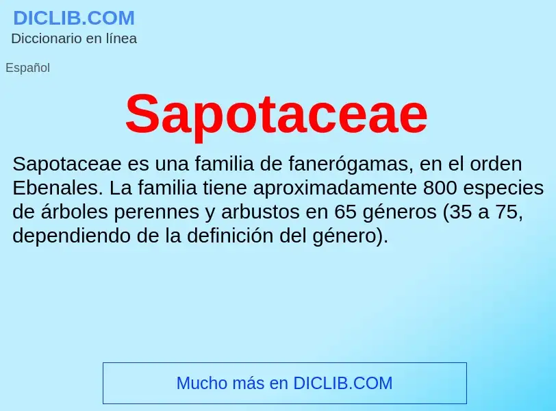 What is Sapotaceae - meaning and definition