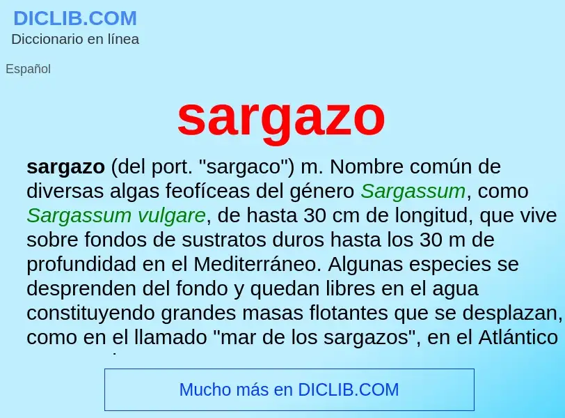 What is sargazo - definition