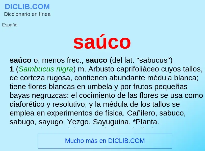 ¿Qué es saúco? - significado y definición