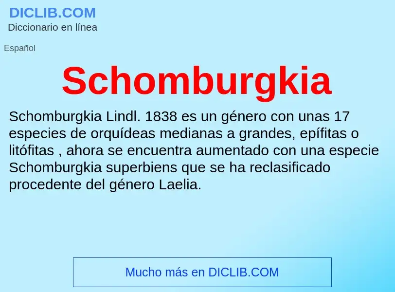 ¿Qué es Schomburgkia? - significado y definición