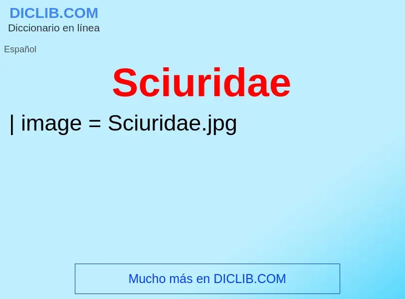 What is Sciuridae - meaning and definition