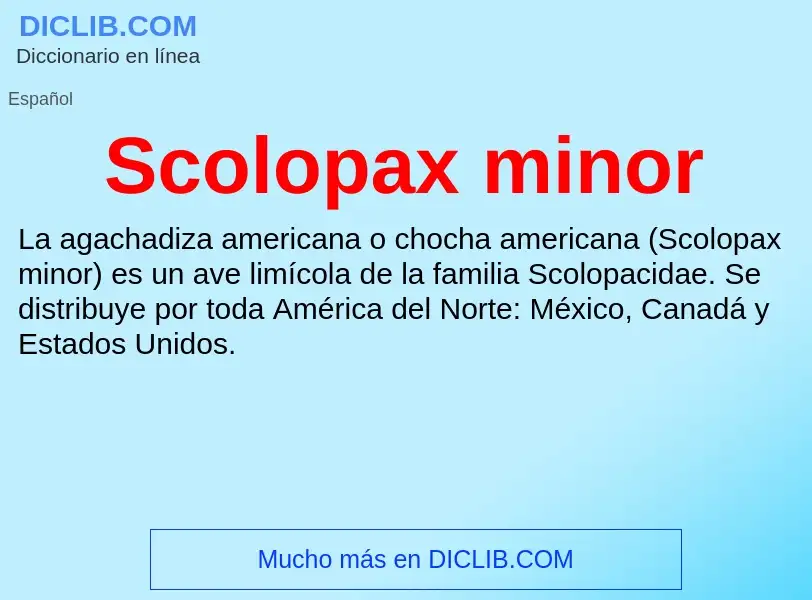 Что такое Scolopax minor - определение