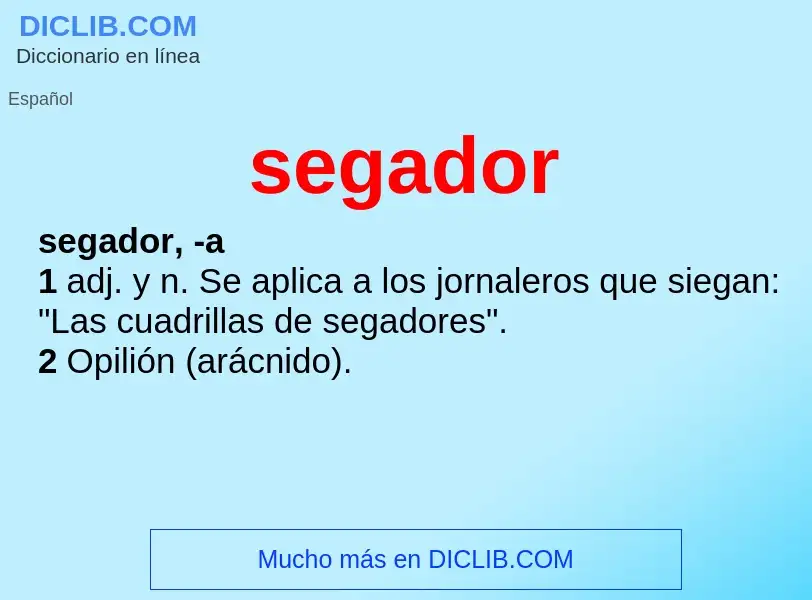 Wat is segador - definition