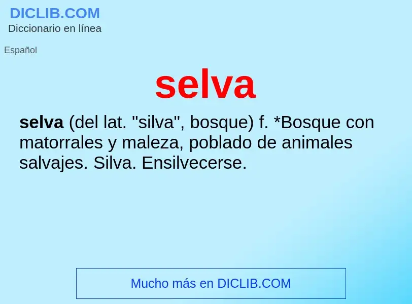 What is selva - definition