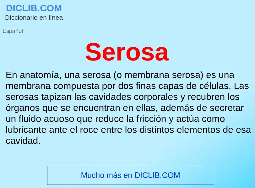 Was ist Serosa - Definition