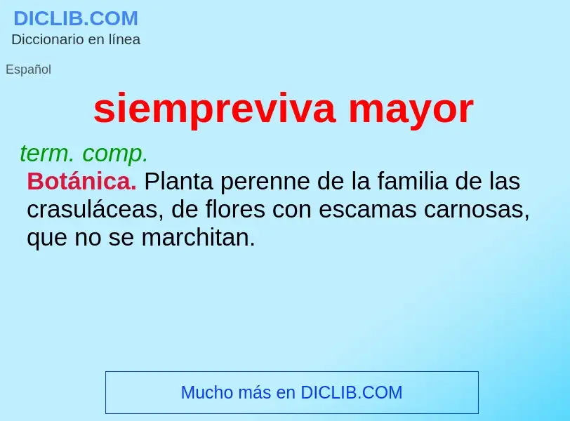 What is siempreviva mayor - meaning and definition