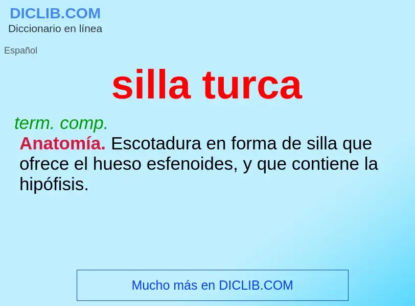 What is silla turca - definition