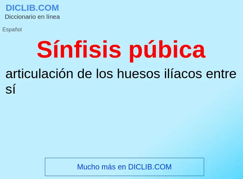 What is Sínfisis púbica - meaning and definition