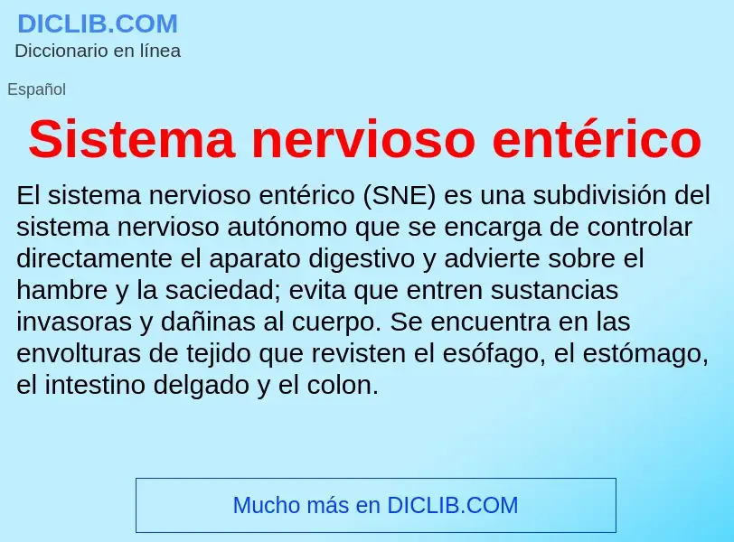 Wat is Sistema nervioso entérico - definition