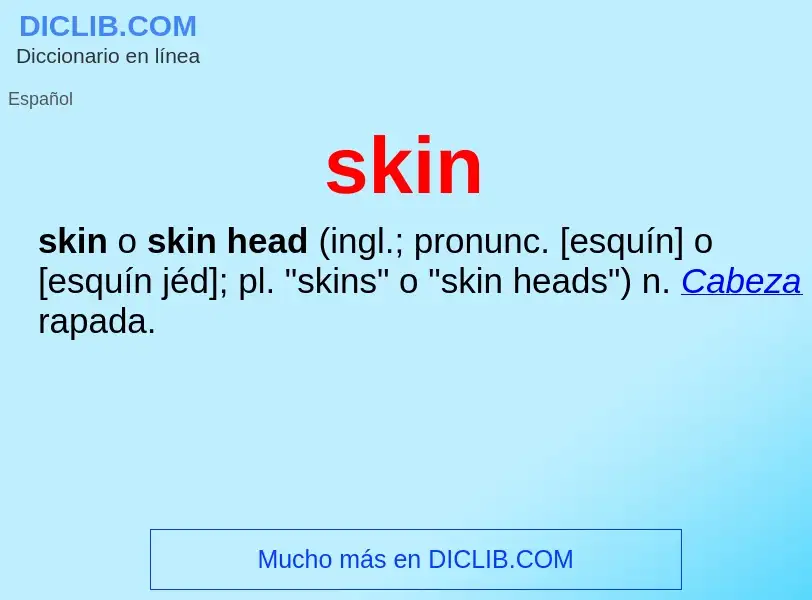 ¿Qué es skin? - significado y definición