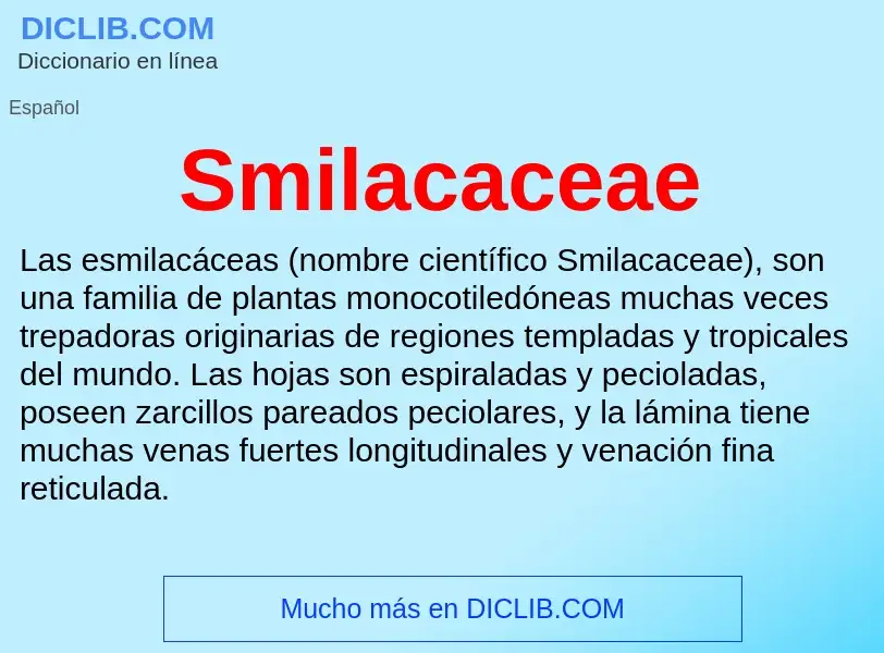 ¿Qué es Smilacaceae? - significado y definición