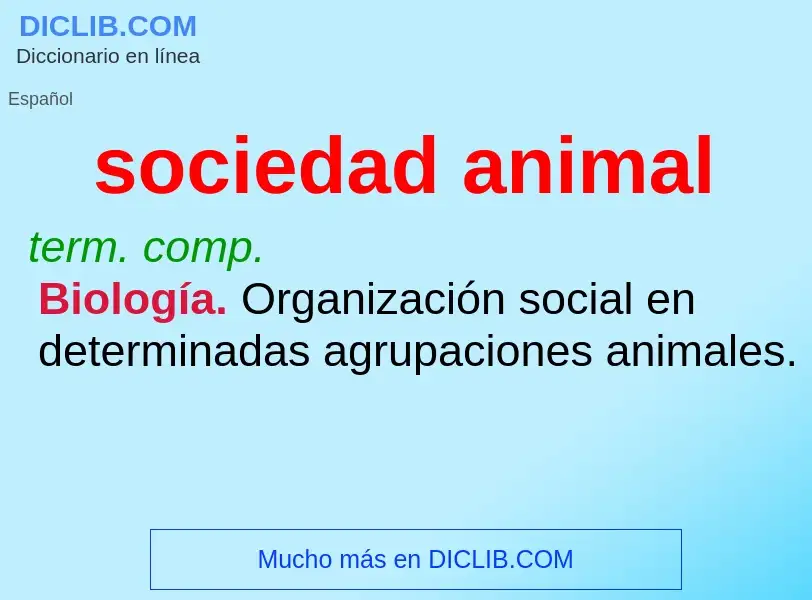 What is sociedad animal - definition