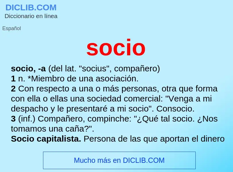 Wat is socio - definition