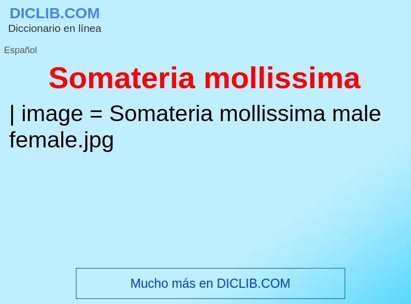 What is Somateria mollissima - definition