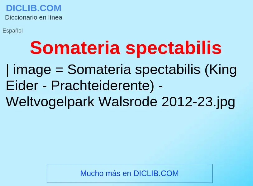 Что такое Somateria spectabilis - определение