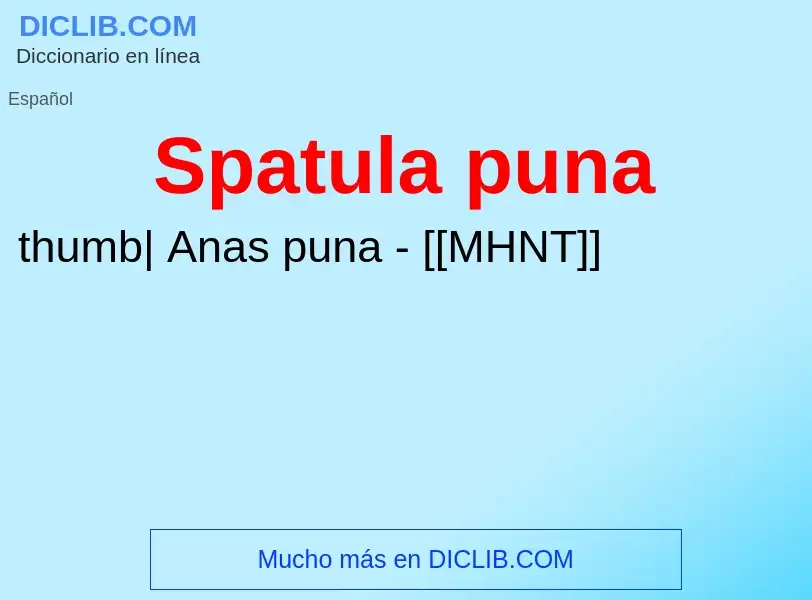 O que é Spatula puna - definição, significado, conceito