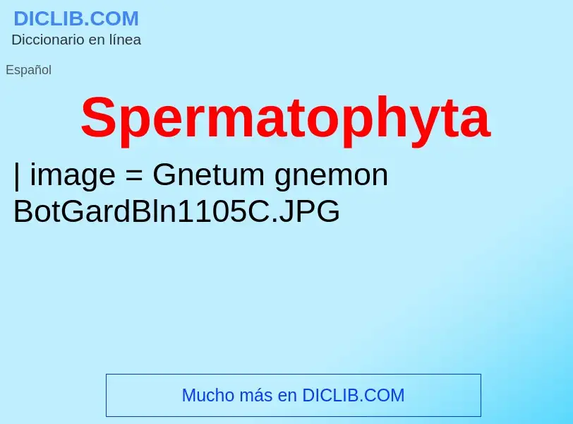 Was ist Spermatophyta - Definition