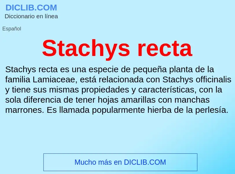 Qu'est-ce que Stachys recta - définition