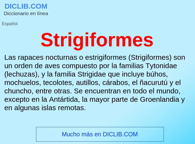 ¿Qué es Strigiformes? - significado y definición