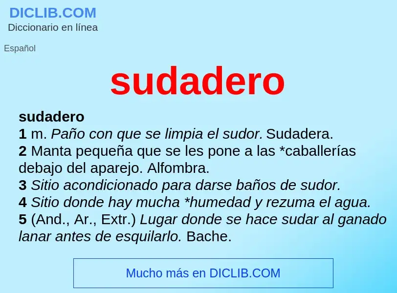 What is sudadero - definition