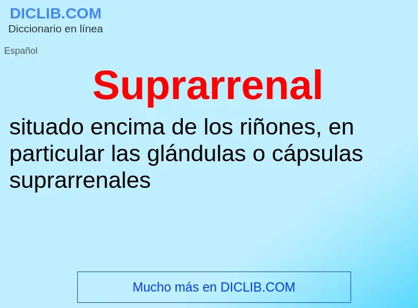 What is Suprarrenal - meaning and definition