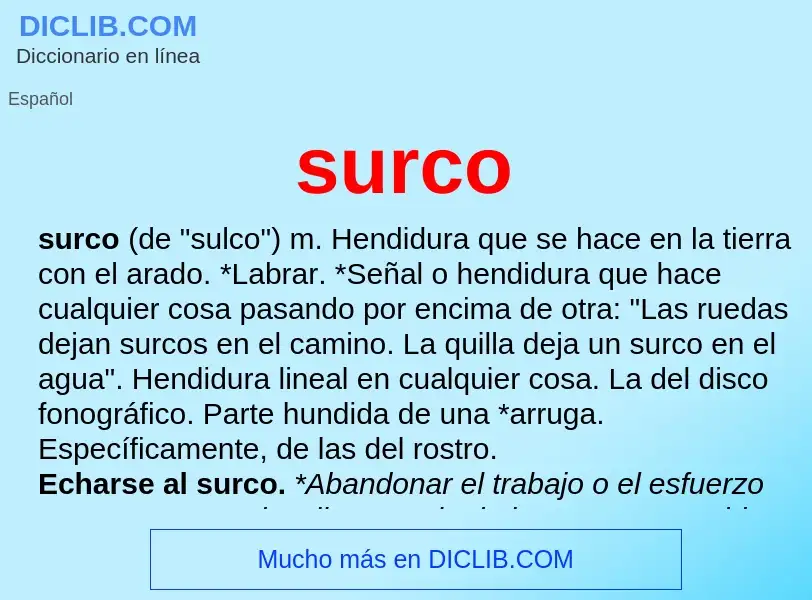 What is surco - definition