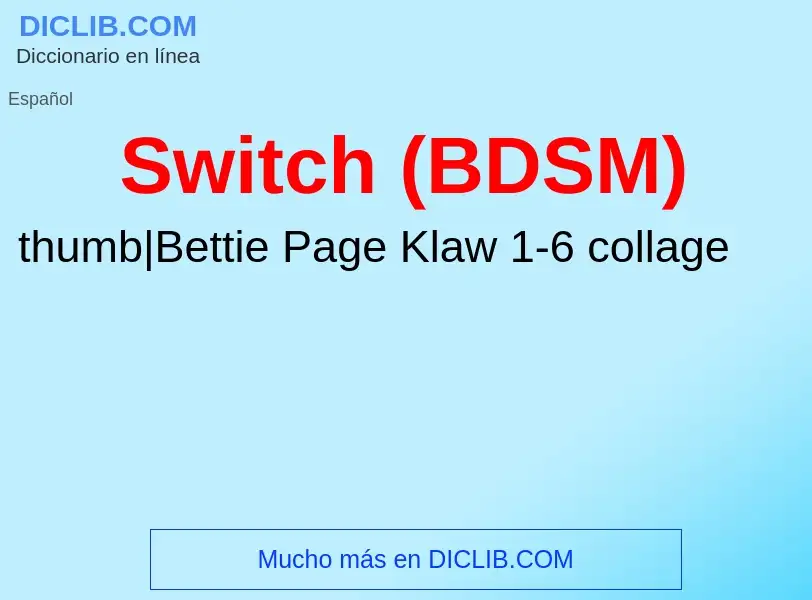 Wat is Switch (BDSM) - definition