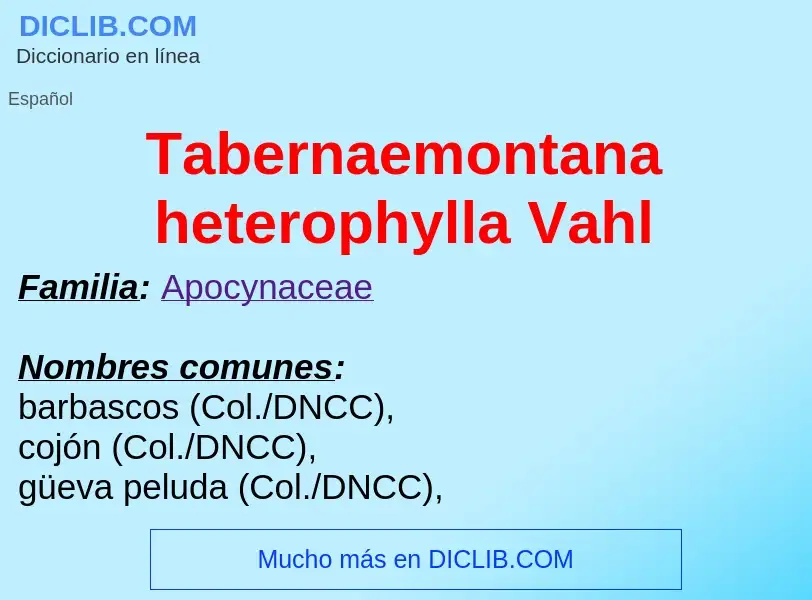 Что такое Tabernaemontana heterophylla Vahl - определение