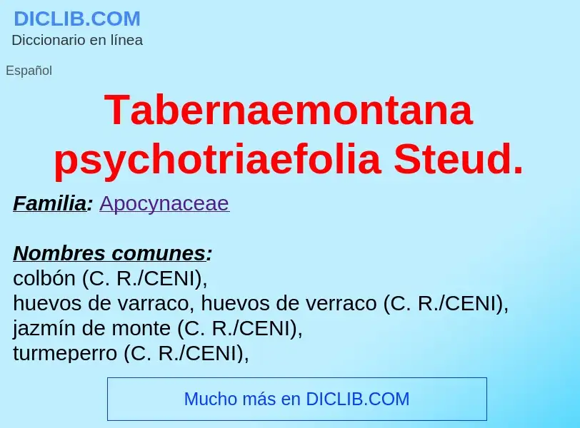 Qu'est-ce que Tabernaemontana psychotriaefolia Steud. - définition