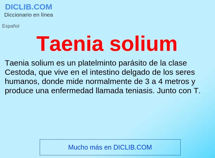 Что такое Taenia solium - определение